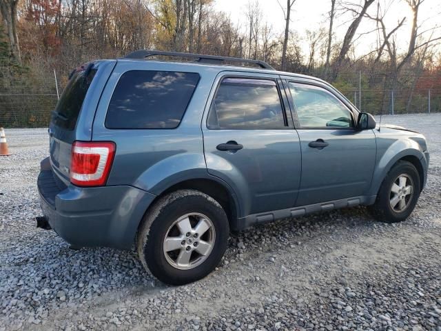 2011 Ford Escape XLT