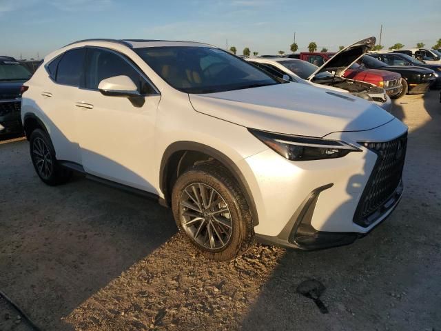 2024 Lexus NX 350H Base