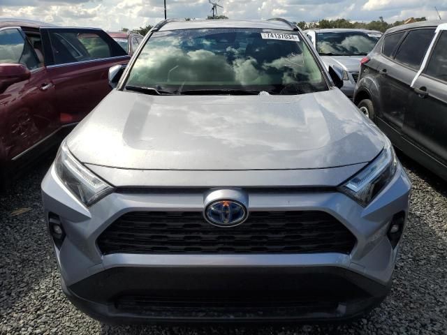 2023 Toyota Rav4 XLE Premium