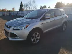 Ford salvage cars for sale: 2016 Ford Escape SE