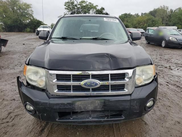 2008 Ford Escape XLT