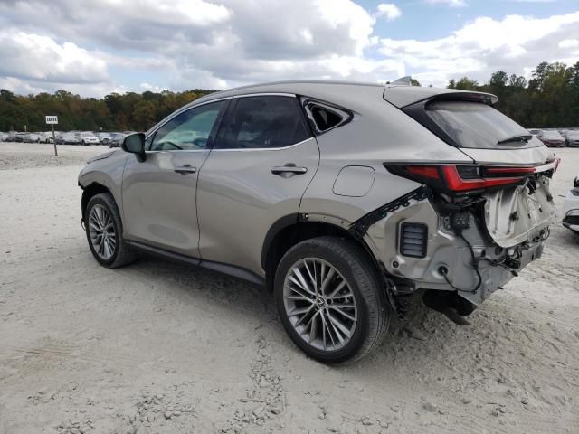 2023 Lexus NX 350H