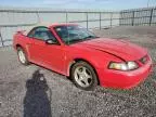 2003 Ford Mustang