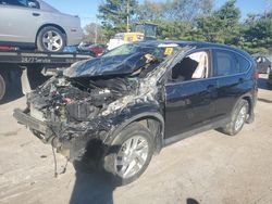 Salvage cars for sale at Lexington, KY auction: 2016 Honda CR-V EX