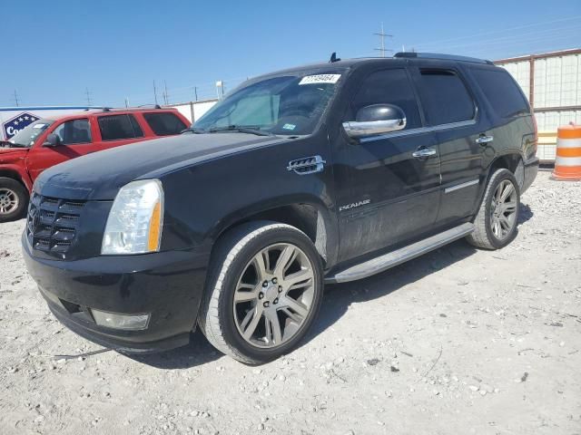 2010 Cadillac Escalade