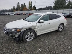 Salvage cars for sale at Graham, WA auction: 2010 Honda Accord Crosstour EXL