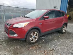 Ford salvage cars for sale: 2013 Ford Escape SE