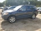 2008 Hyundai Santa FE SE