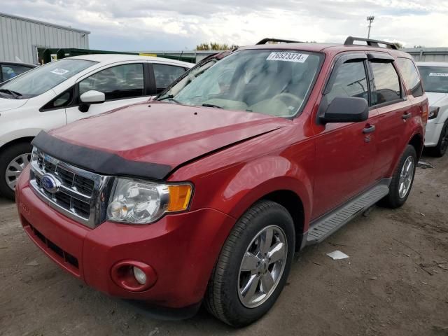 2011 Ford Escape XLT