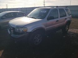 Salvage cars for sale at Elgin, IL auction: 2005 Ford Escape XLT