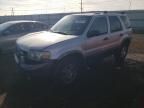 2005 Ford Escape XLT