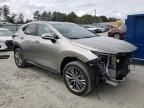 2023 Lexus NX 350H