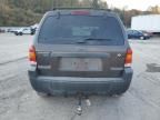 2006 Ford Escape XLT