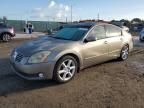 2006 Nissan Maxima SE