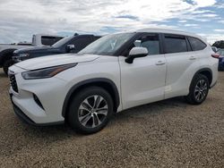 Salvage cars for sale at Riverview, FL auction: 2021 Toyota Highlander XLE