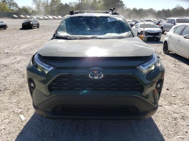 2024 Toyota Rav4 Woodland Edition