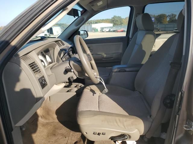 2010 Dodge Dakota SXT