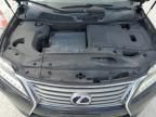 2013 Lexus RX 450H