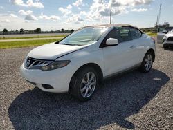 Nissan salvage cars for sale: 2014 Nissan Murano Crosscabriolet