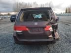 2009 Honda Odyssey EXL