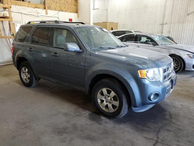 2012 Ford Escape Limited