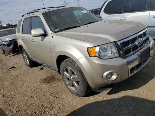 2012 Ford Escape Limited