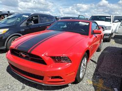 Salvage cars for sale at Riverview, FL auction: 2014 Ford Mustang