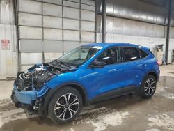 Salvage cars for sale at Des Moines, IA auction: 2021 Ford Escape SE