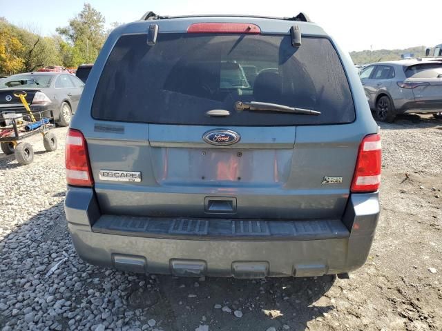 2011 Ford Escape XLT