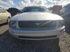 2006 Ford Mustang