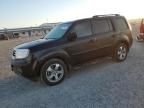 2014 Honda Pilot EXL