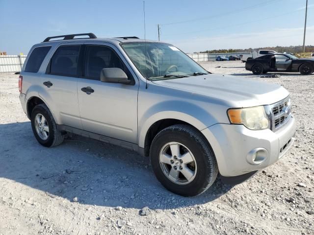 2009 Ford Escape XLT