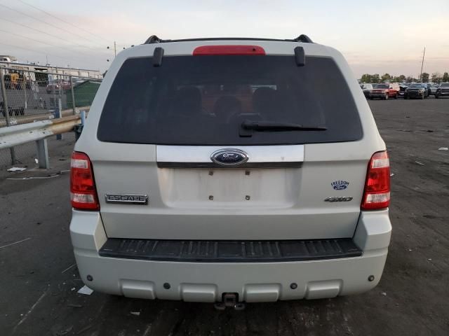 2008 Ford Escape Limited