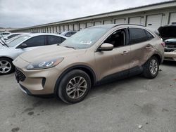 Ford Escape Vehiculos salvage en venta: 2020 Ford Escape SE