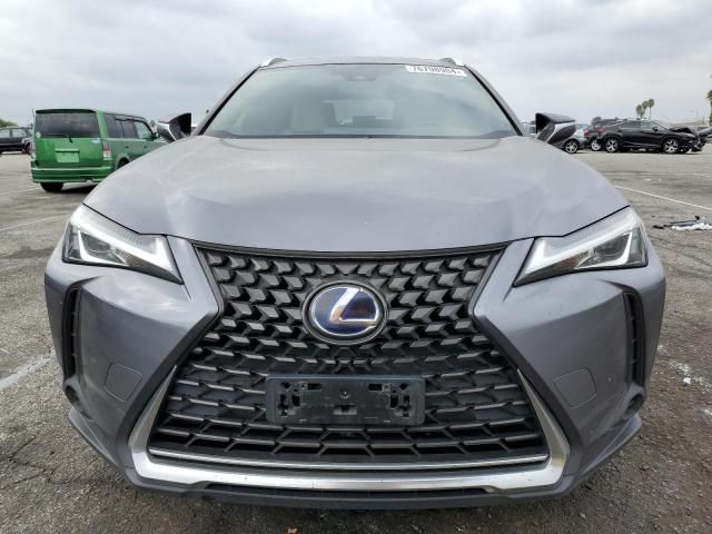 2019 Lexus UX 250H