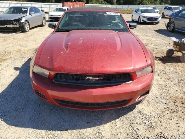 2011 Ford Mustang