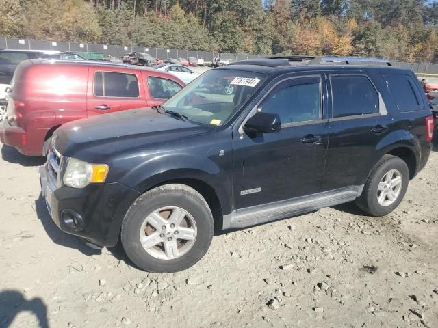 2008 Ford Escape HEV