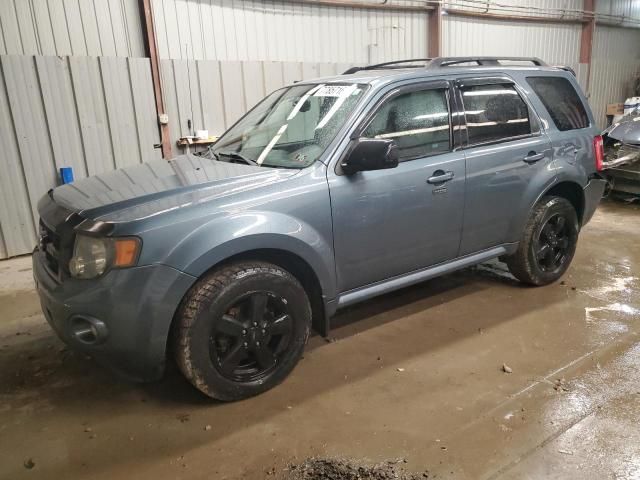 2011 Ford Escape XLT