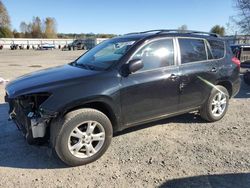 Salvage cars for sale at Arlington, WA auction: 2011 Toyota Rav4