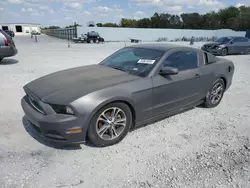 Ford salvage cars for sale: 2014 Ford Mustang