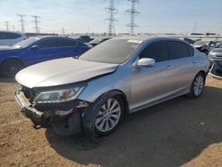 Salvage cars for sale at Elgin, IL auction: 2013 Honda Accord EXL