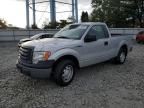 2010 Ford F150