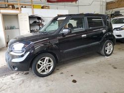 Salvage cars for sale at Ham Lake, MN auction: 2010 KIA Soul +