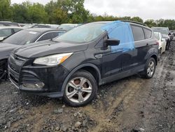 Flood-damaged cars for sale at auction: 2013 Ford Escape SE