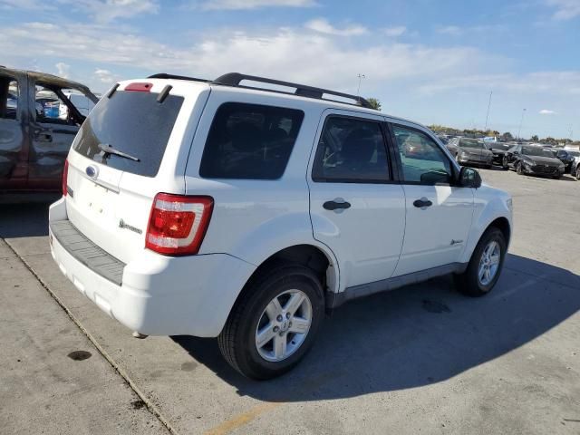 2009 Ford Escape Hybrid