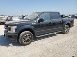 Ford salvage cars for sale: 2019 Ford F150 Supercrew