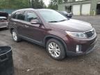 2014 KIA Sorento EX