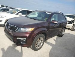 Salvage cars for sale at Arcadia, FL auction: 2013 KIA Sorento SX