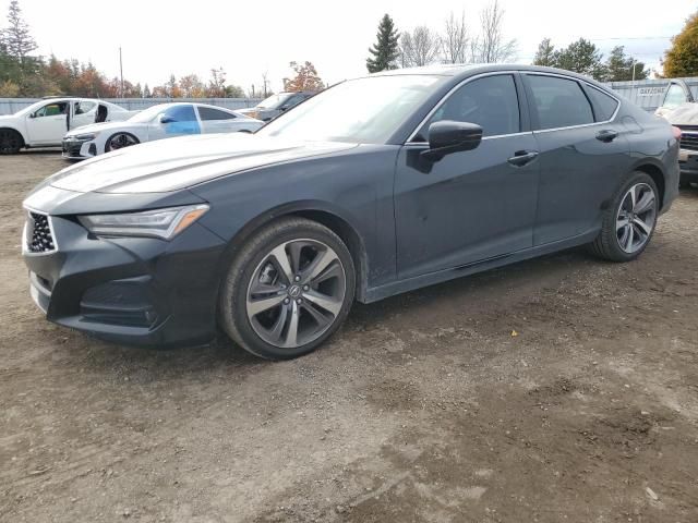 2023 Acura TLX Platinum Elite