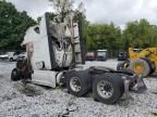 2019 Freightliner Cascadia 126